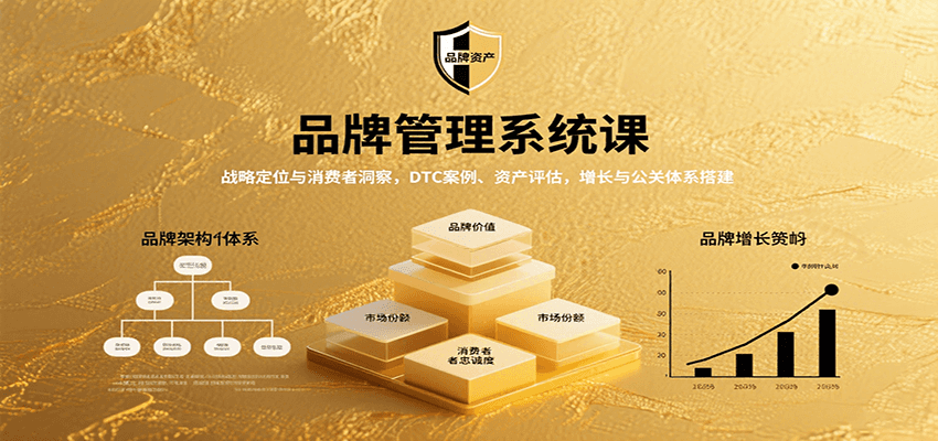 品牌管理系统课：战略定位与消费者洞察，DTC案例、资产评估，增长与公关体系搭建-驿想项目网