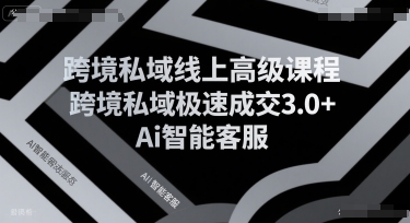 跨境私域线上高级课程，跨境私域极速成交3.0+Ai智能客服-驿想项目网