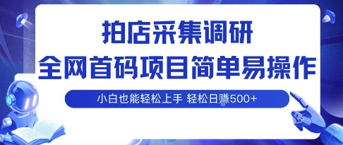 拍店采集调研，全网首码项目，简单易操作， 小白也能轻松上手，多账号操作，轻松日入5张【揭秘】-驿想项目网