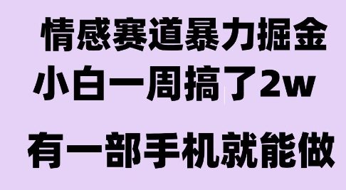 情感暴力掘金项目，新人操作一周挣了2W，长期稳定小白可做【揭秘】-驿想项目网