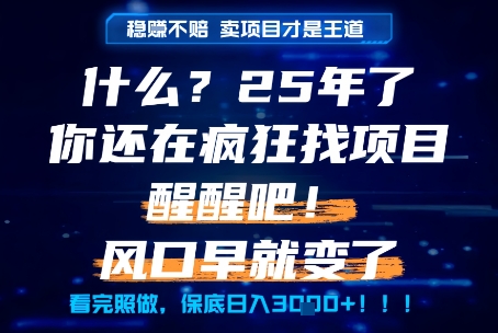什么？25年你还在疯狂找项目做，醒醒吧，看完这些你全都懂了！【揭秘】-驿想项目网