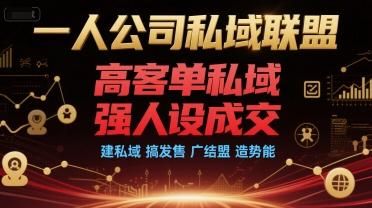 一人公司私域联盟，高客单私域，强人设成交，建私域 搞发售 广结盟 造势能-驿想项目网