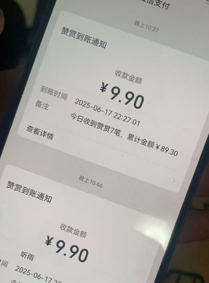 二次元男粉快速变现项目，私域卖虚拟产品，百分利润-驿想项目网
