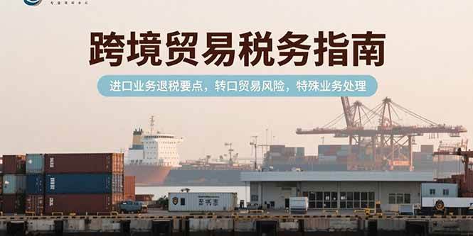 （15381期）跨境贸易税务指南，进口业务退税要点，转口贸易风险，特殊业务处理-驿想项目网
