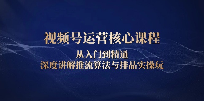 （13863期）视频号运营核心课程，从入门到精通，深度讲解推流算法与排品实操玩-驿想项目网