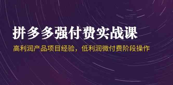 拼多多强付费实战课-44期，高利润产品项目经验，低利润微付费阶段操作-驿想项目网