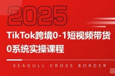 TikTok跨境0-1短视频带货，系统拆解TikTok跨境带货全链路，实现跨境可持续盈利-驿想项目网