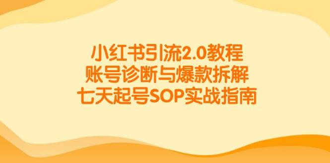 （14981期）小红书引流2.0教程，账号诊断与爆款拆解，七天起号SOP实战指南-驿想项目网