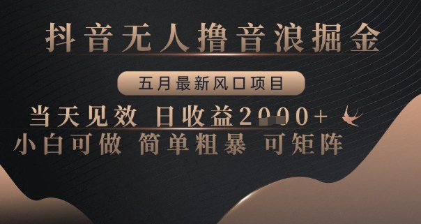抖音无人撸音浪掘金，五月最新风口项目，当天见效，日收益多张，小白可做简单粗暴可矩阵【揭秘】-驿想项目网