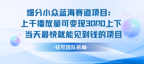 小众蓝海赛道项目：当天变现1k+适合新手操作 +适合长期玩-驿想项目网