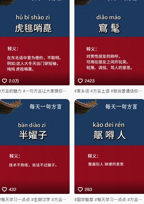 抖音最新涨粉玩法，图文方言暴力涨粉实操，126作品涨粉11W-驿想项目网