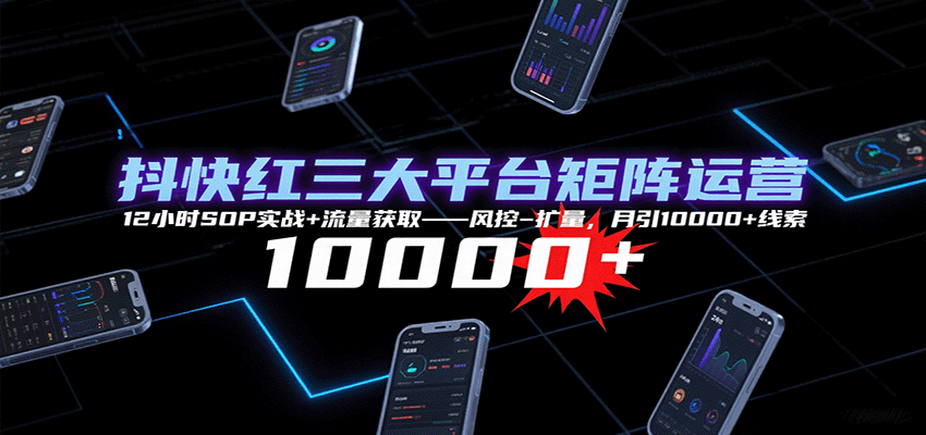 抖快红三大平台矩阵运营，12小时SOP实战+流量获取-风控-扩量，月引10000+线索-驿想项目网