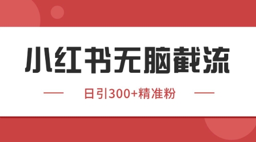 小红书只要你有同行就能获客，独家野路子获客玩法，暴力截流【揭秘】-驿想项目网