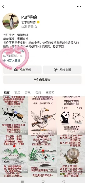 Puff手绘视频号分成项目，三天过分成计划，简单易上手，适合新手-驿想项目网