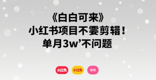 小白可来 小红书项目不需要剪辑 单月3w不是问题-驿想项目网