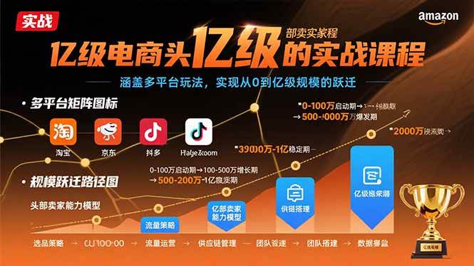 （15803期）亿级电商头部卖家的实战课程：涵盖多平台玩法，实现从0到亿级规模的跃迁-驿想项目网
