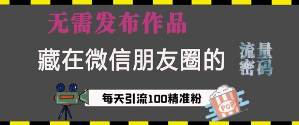 藏在微信朋友圈的流量密码，无需发布作品，单日引流100+精准创业粉【揭秘】-驿想项目网