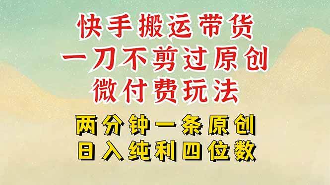（15577期）快手黑科技搬运带货，一刀不剪过原创，微付费投流玩法，轻松日入四位数…-驿想项目网