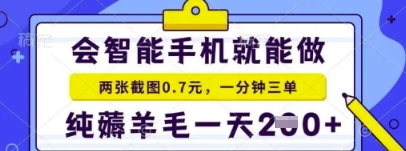 简单截图就能有收益，最适合小白做的副业，日入2张+轻轻松松-驿想项目网