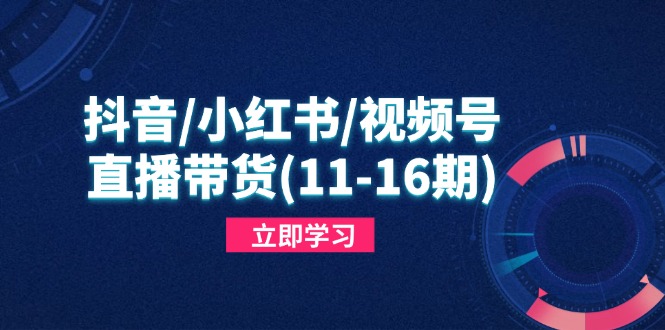 （14611期）抖音/小红书/视频号/直播带货(11-16期)，快速掌握平台规则，打造爆款内容-驿想项目网