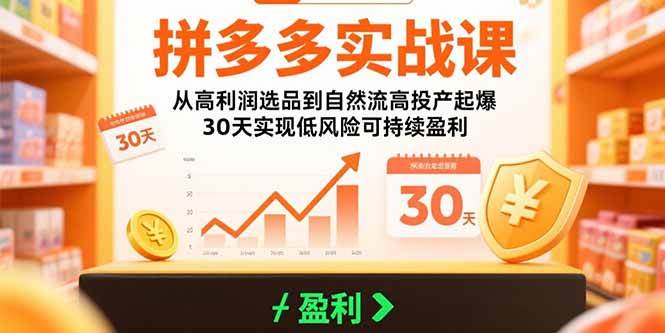 （15586期）拼多多实战课：从高利润选品到自然流高投产起爆 30天实现低风险可持续盈利-驿想项目网