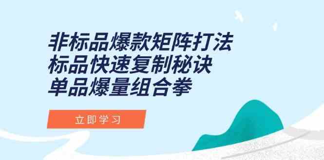 非标品爆款矩阵打法，标品快速复制秘诀，单品爆量组合拳-驿想项目网