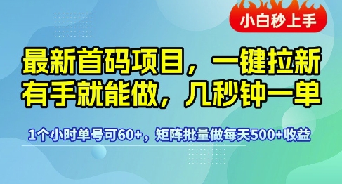 最新首码项目，一键拉新有手就能做，几秒钟一单，1个小时单号可60+，矩阵批量做每天5张【揭秘】-驿想项目网