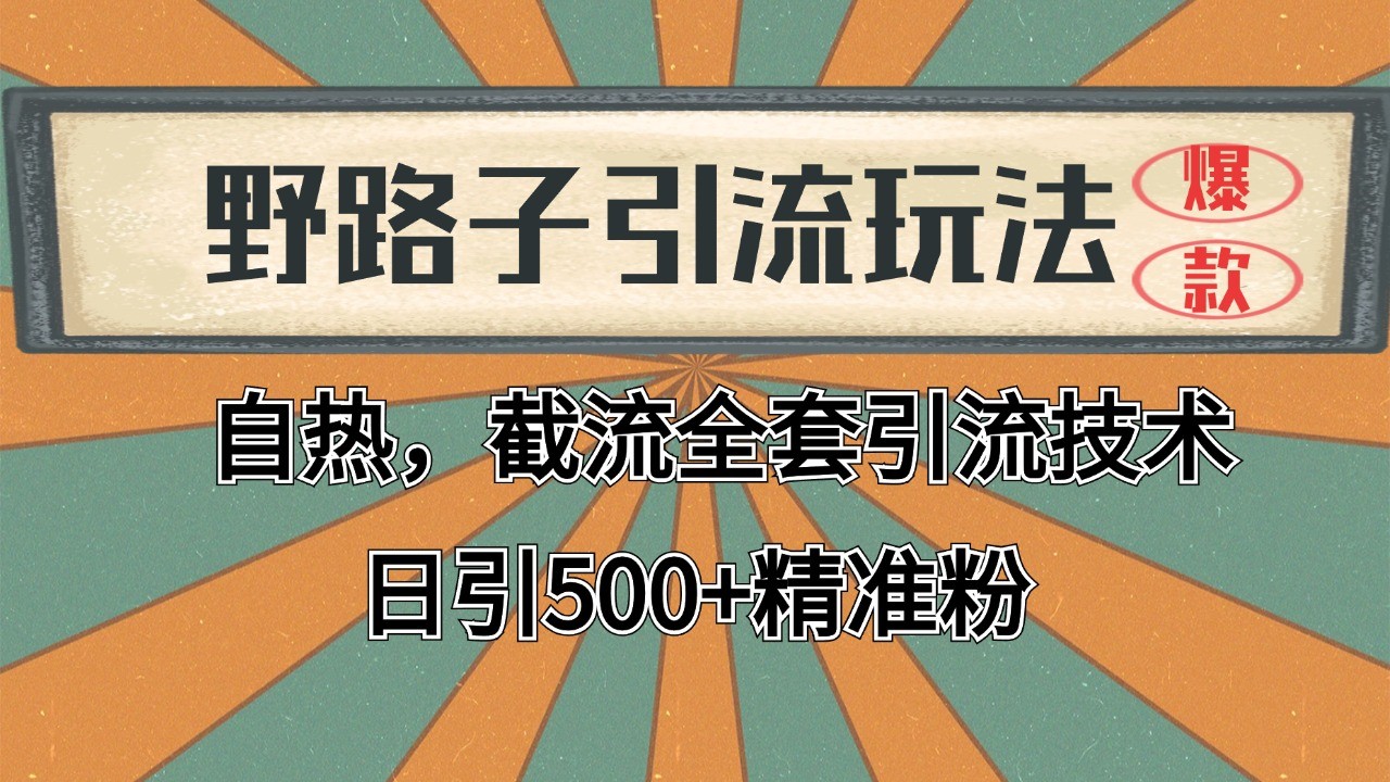 2024首发野路子引流玩法截流自热全平台打法，全自动引流【日引2000+精准客户】-驿想项目网