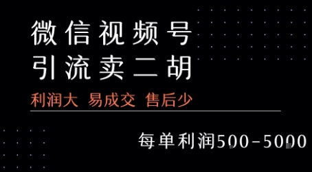 视频号卖二胡教程，利润大 易成交 售后少，一单利润5张+-驿想项目网