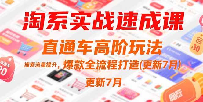 （15374期）淘系实战速成课，直通车高阶玩法，搜索流量提升，爆款全流程打造(更新7月)-驿想项目网