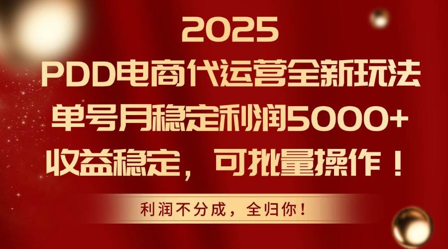 （14839期）2025PDD电商代运营全新玩法，单号月稳定利润5000+，收益稳定，可批量操作-驿想项目网