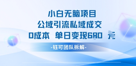 小白无脑项目公域引流私域成交0成本单日变现680米-驿想项目网