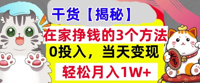 在家挣钱的3个方法，0投入，当天变现，轻松月入过W-驿想项目网