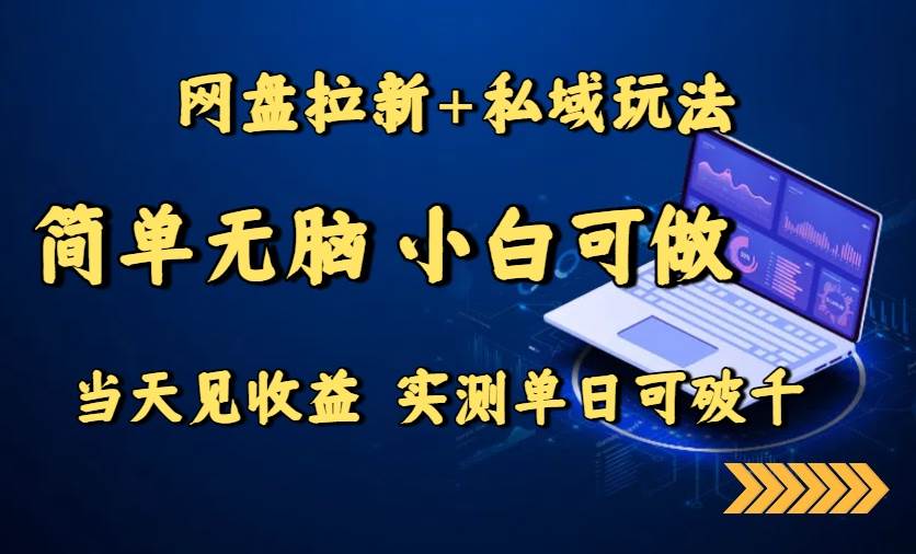 （15744期）网盘拉新+私域玩法，简单无脑，小白可做，当天见收益，实测单日可破千-驿想项目网