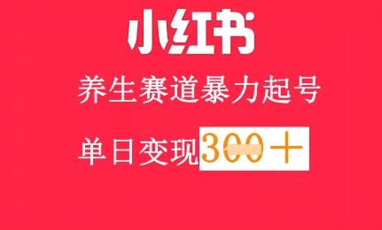 小红书养生赛道，暴力起号，轻松日入3张+-驿想项目网