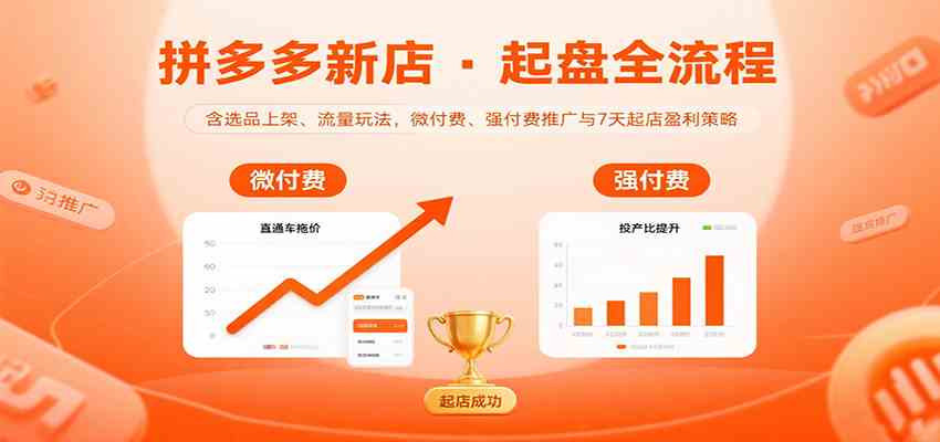 拼多多新店起盘全流程，含选品上架、流量玩法，微付费、强付费推广与7天起店盈利策略-驿想项目网