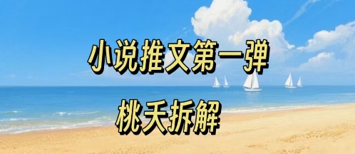 小说推文项目操作全流程第一弹，0粉就能做，门槛低非常适合新手-驿想项目网