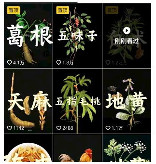 抖音中草药赛道，用AI做中草药故事视频，45条作品涨粉13W，橱窗带货猛猛出单-驿想项目网