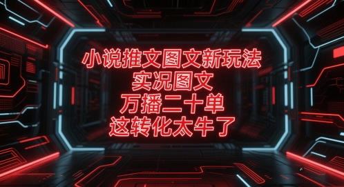 小说推文图文新玩法，实况图文，万播二十单，这转化太牛了！-驿想项目网