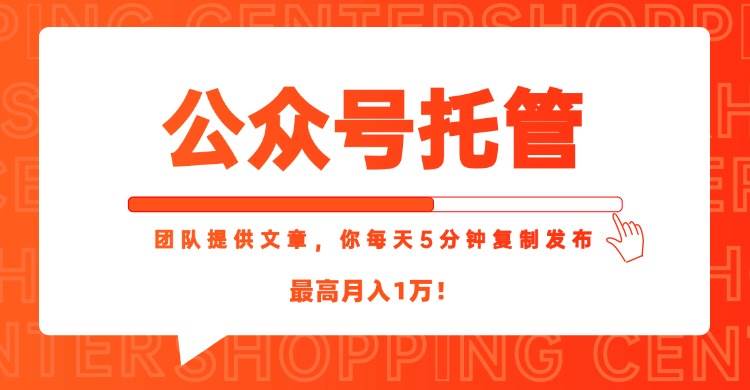 （15109期）【公众号托管 】我提供文章，你每天５分钟复制发布，最高月入1W-驿想项目网