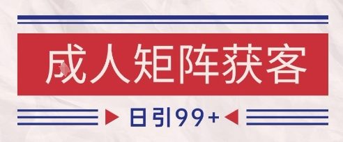 小红书某音橙人赛道引流获客，自热矩阵日引200+【揭秘】-驿想项目网