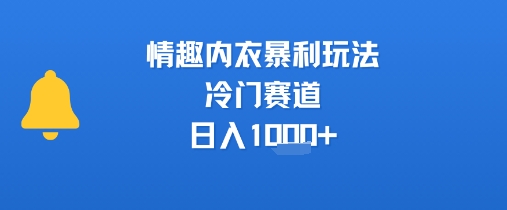 情趣内衣暴利玩法，冷门赛道，日入1k+-驿想项目网