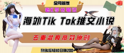 海外tiktok小说推文暴力项目，高停留率，高转化率，上手后一天搞顿饭钱不是问题-驿想项目网