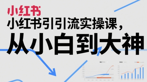 小红书引流实操课，从小白到大神-驿想项目网