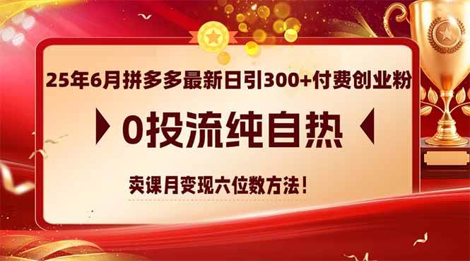 （14989期）25年6月拼多多最新日引300+付费创业粉，0投流纯自热 卖课月变现六位数方法-驿想项目网