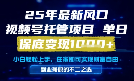 25年最新风口，视频号托管项目，单日保底变现1k+，手把手教学【揭秘】-驿想项目网