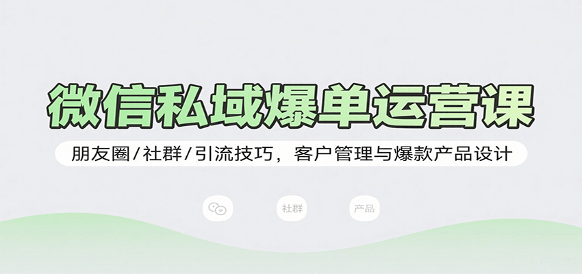 微信私域爆单运营课：朋友圈/社群/引流技巧，客户管理与爆款产品设计-驿想项目网