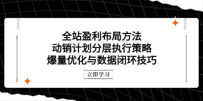 （14698期）全站盈利布局方法：动销计划分层执行策略，爆量优化与数据闭环技巧-驿想项目网