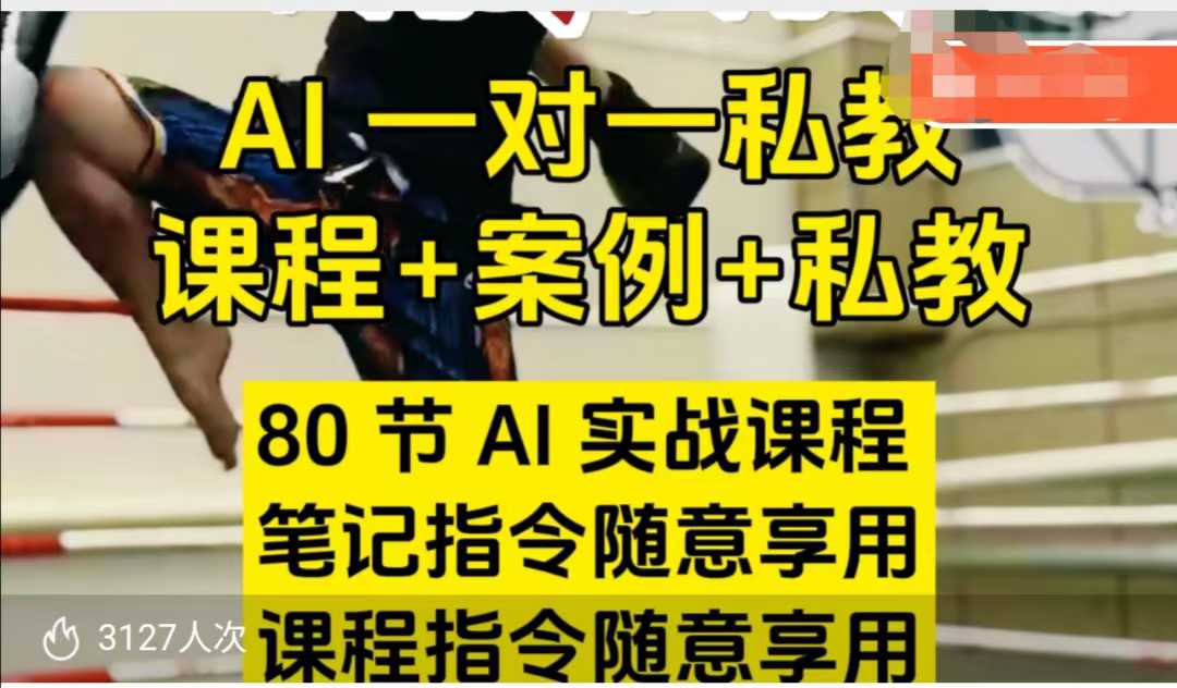 AI指令实战课，课程+案例，80节AI实战课程，笔记指令随意享用，课程指令随意享用（更新7月）-驿想项目网