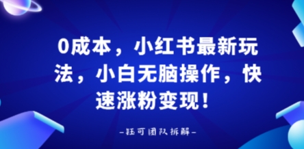 0成本，小红书最新玩法，小白无脑操作，快速涨粉变现-驿想项目网